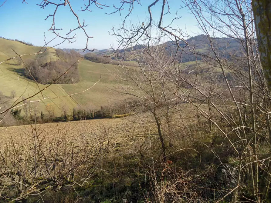 Immagine 9 di Rustico / casale in vendita  in via Ognisanti a Urbino