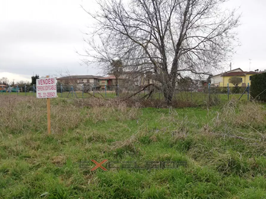 Immagine 2 di Terreno in vendita  in Via G. Matteotti n. 20 - Cavarzere a Cavarzere