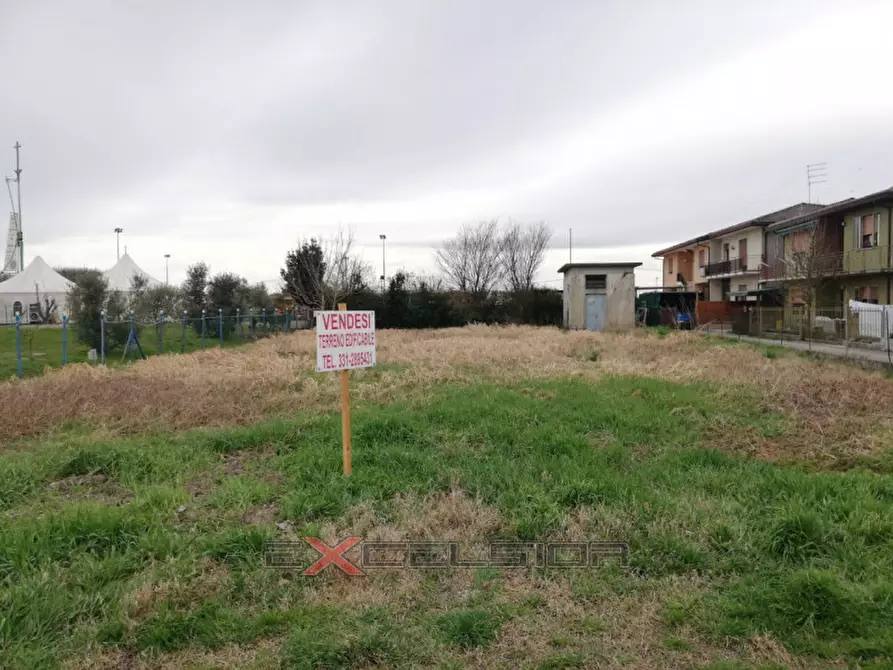 Immagine 2 di Terreno in vendita  in Via G. Matteotti n. 20 - Cavarzere a Cavarzere