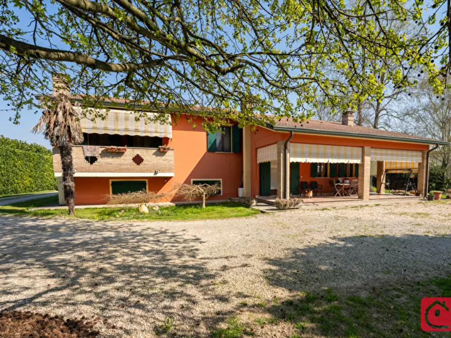 Immagine 2 di Villa in vendita  a Legnaro