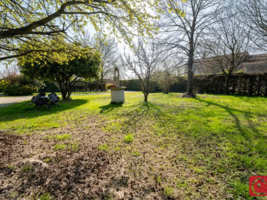 Immagine 5 di Villa in vendita  a Legnaro