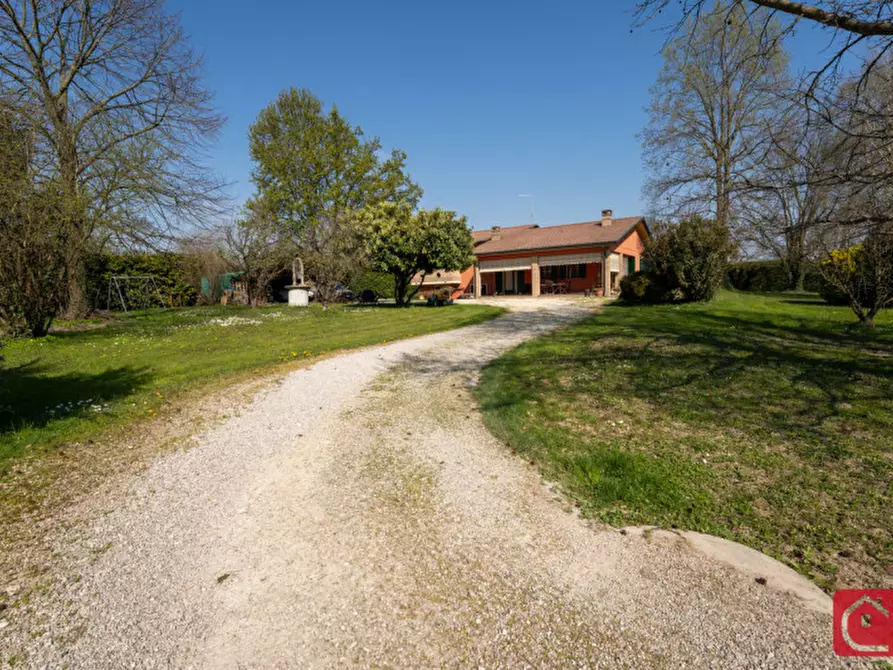 Immagine 6 di Villa in vendita  a Legnaro