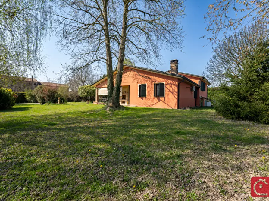 Immagine 7 di Villa in vendita  a Legnaro