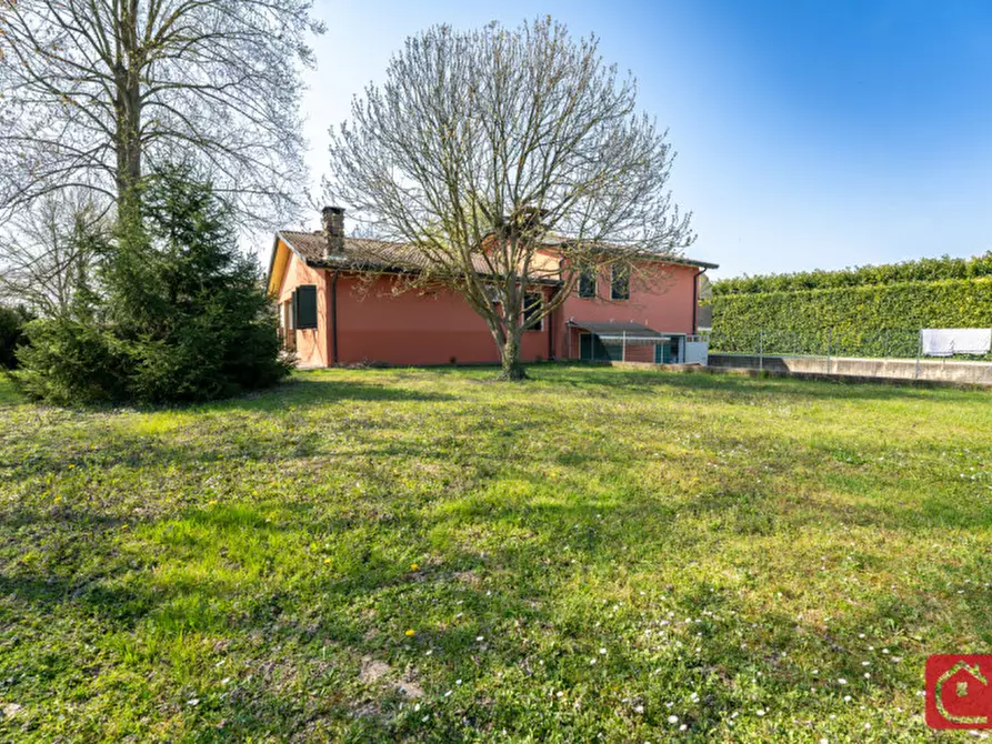 Immagine 8 di Villa in vendita  a Legnaro