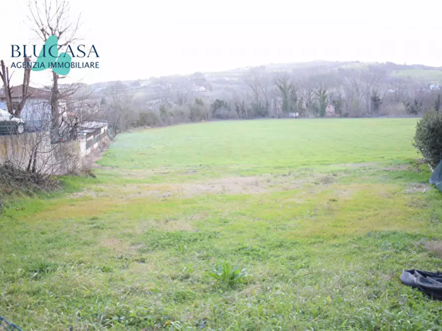 Immagine 4 di Terreno in vendita  in via Indipendenza a Meldola