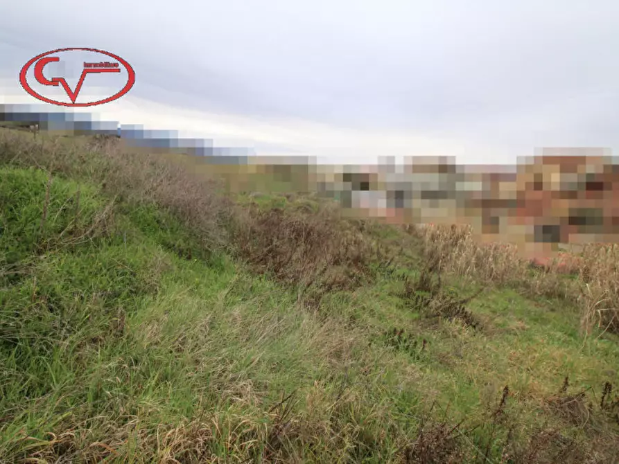 Immagine 5 di Terreno in vendita  in terranuova bracciolini a Terranuova Bracciolini