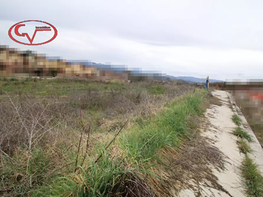 Immagine 6 di Terreno in vendita  in terranuova bracciolini a Terranuova Bracciolini