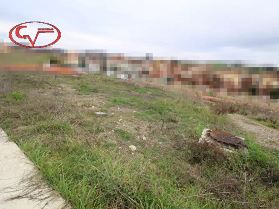 Immagine 7 di Terreno in vendita  in terranuova bracciolini a Terranuova Bracciolini