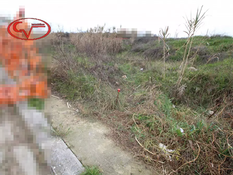 Immagine 3 di Terreno in vendita  a Terranuova Bracciolini