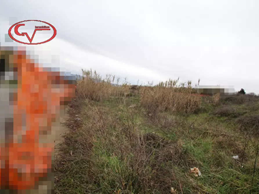 Immagine 4 di Terreno in vendita  a Terranuova Bracciolini