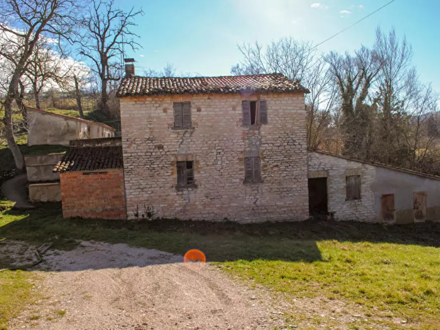Immagine 4 di Rustico / casale in vendita  in strada Santa Barbara a Cagli