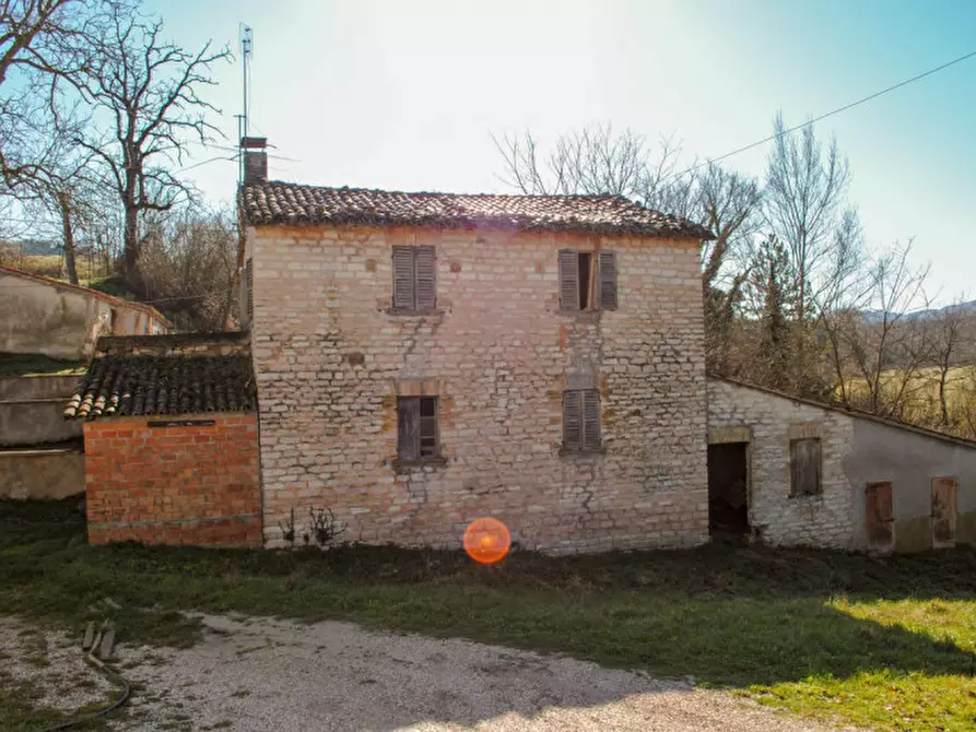 Immagine 6 di Rustico / casale in vendita  in strada Santa Barbara a Cagli