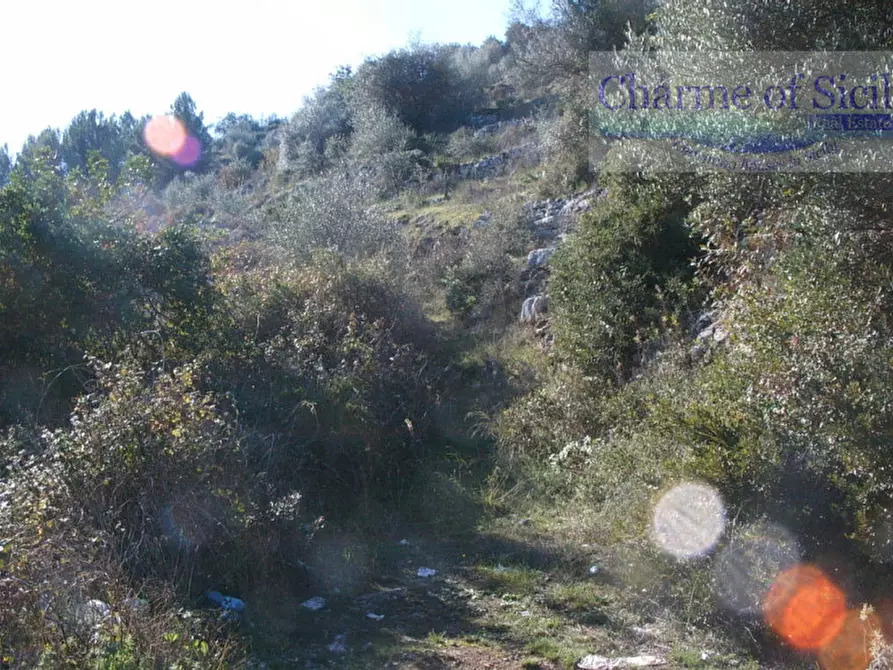 Immagine 4 di Terreno in vendita  in Contrada Rabbuina a Ragusa