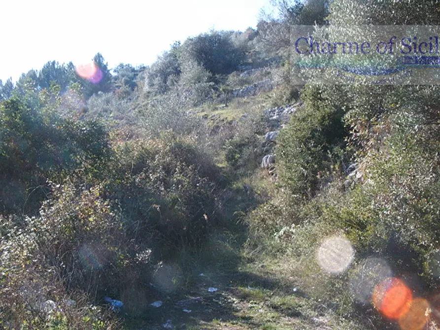 Immagine 5 di Terreno in vendita  in Contrada Rabbuina a Ragusa