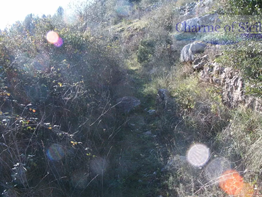 Immagine 7 di Terreno in vendita  in Contrada Rabbuina a Ragusa