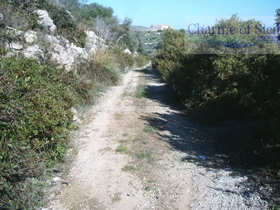 Immagine 7 di Terreno in vendita  in Contrada Rabbuina a Ragusa