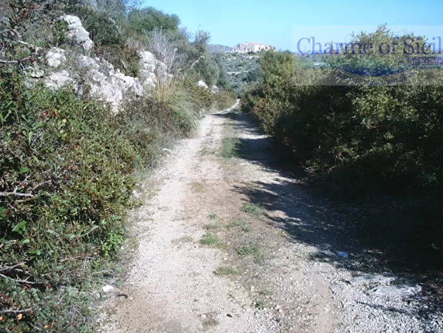 Immagine 9 di Terreno in vendita  in Contrada Rabbuina a Ragusa