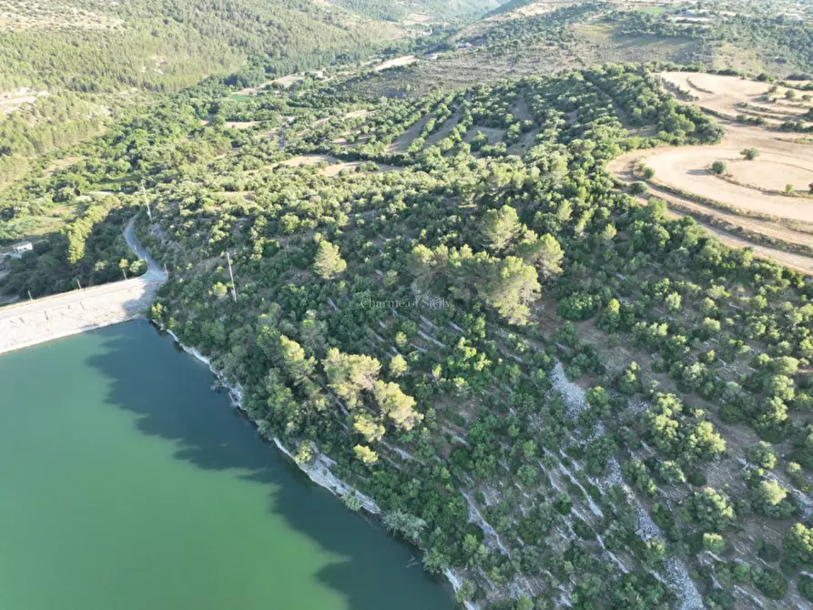 Immagine 16 di Terreno in vendita  in Contrada Rabbuina a Ragusa