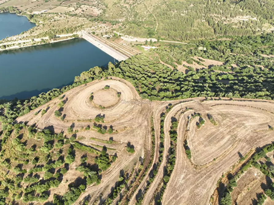 Immagine 17 di Terreno in vendita  in Contrada Rabbuina a Ragusa