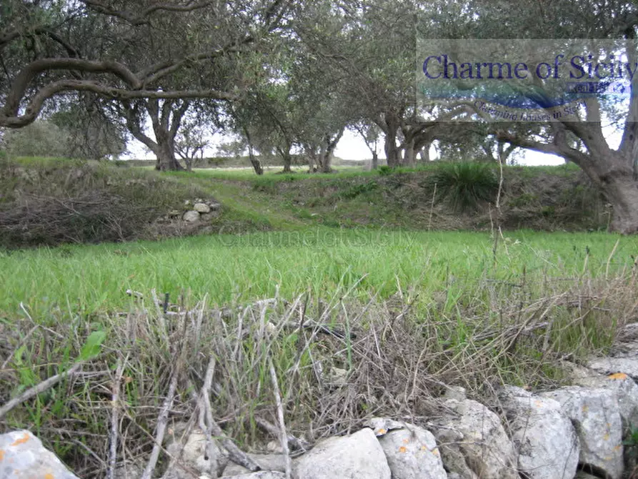 Immagine 4 di Terreno in vendita  in Via Del  Palmento a Ragusa
