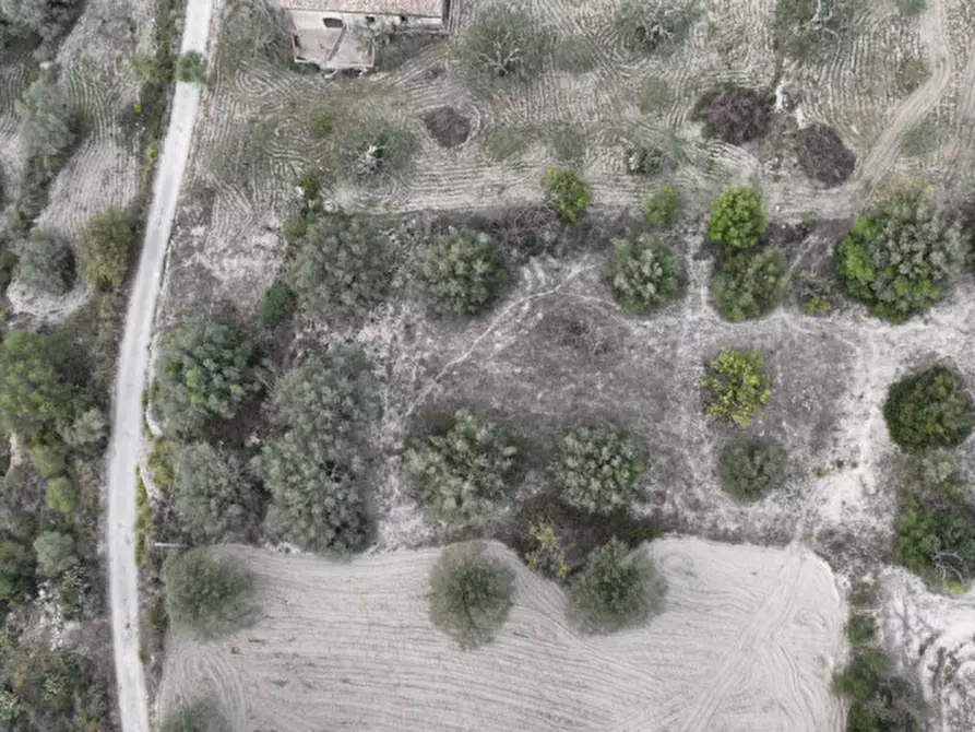 Immagine 9 di Terreno in vendita  in Via Del  Palmento a Ragusa