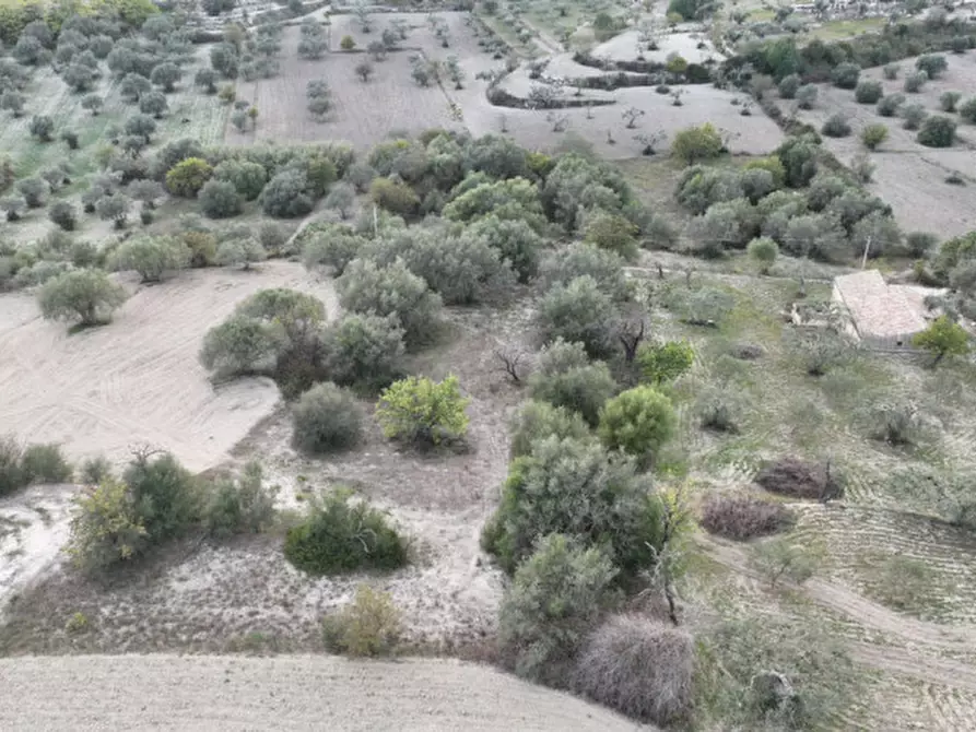 Immagine 11 di Terreno in vendita  in Via Del  Palmento a Ragusa