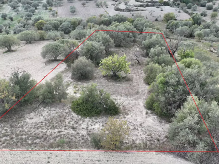 Immagine 12 di Terreno in vendita  in Via Del  Palmento a Ragusa