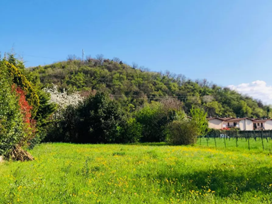 Immagine 5 di Terreno in vendita  in Via dei Ridelli a Gavardo