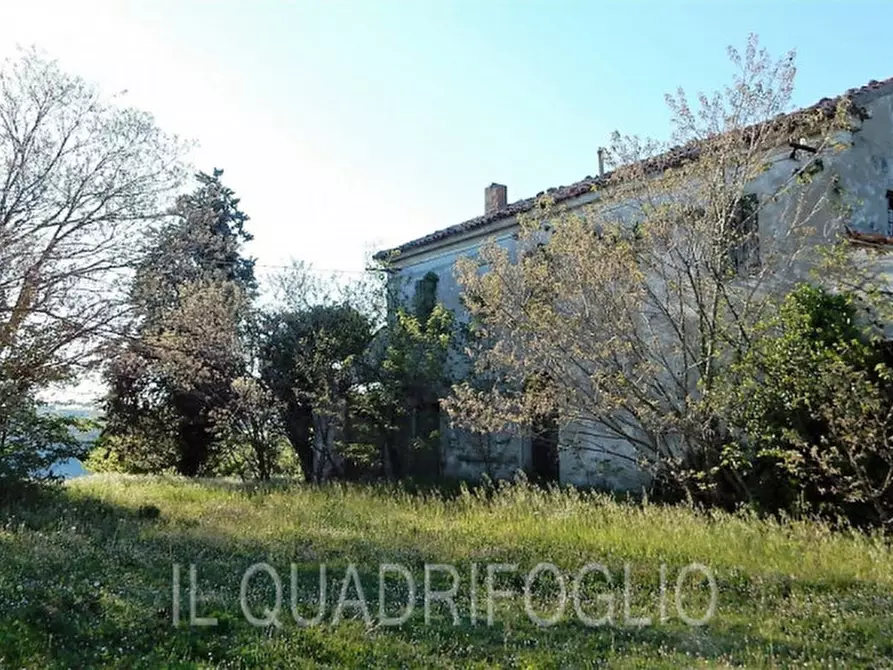 Immagine 2 di Rustico / casale in vendita  a Cesena