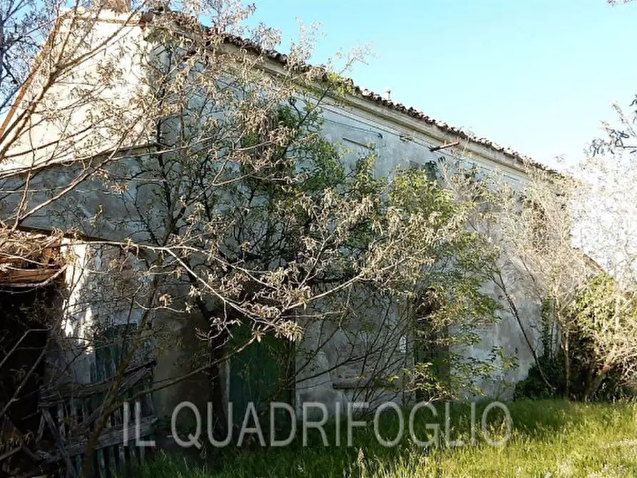 Immagine 3 di Rustico / casale in vendita  a Cesena