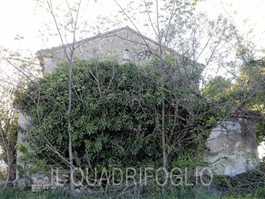 Immagine 6 di Rustico / casale in vendita  a Cesena