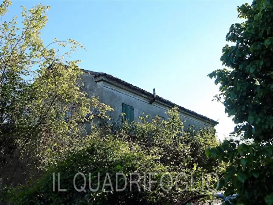 Immagine 7 di Rustico / casale in vendita  a Cesena