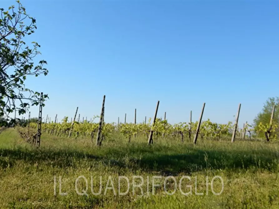 Immagine 9 di Rustico / casale in vendita  a Cesena