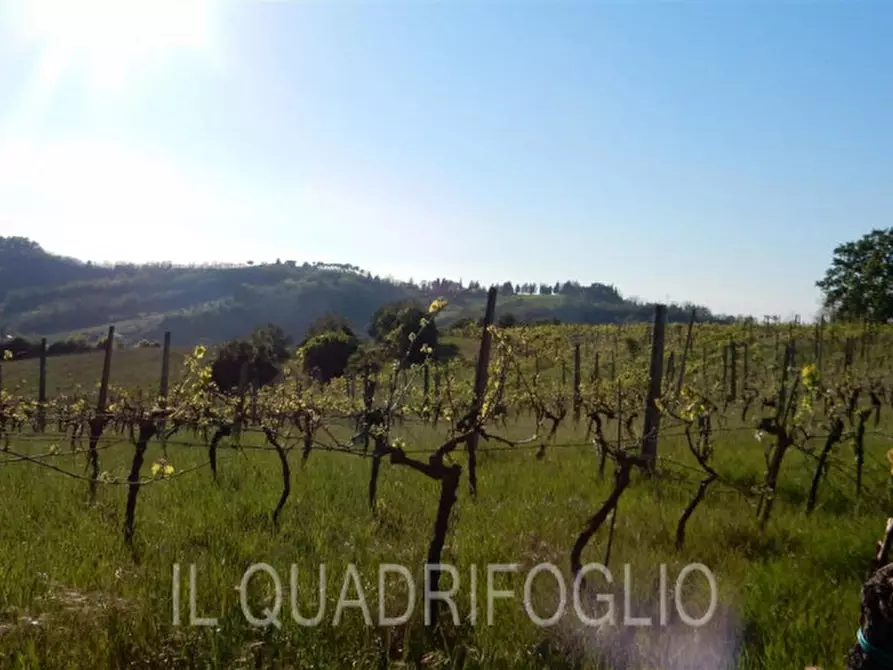 Immagine 10 di Rustico / casale in vendita  a Cesena