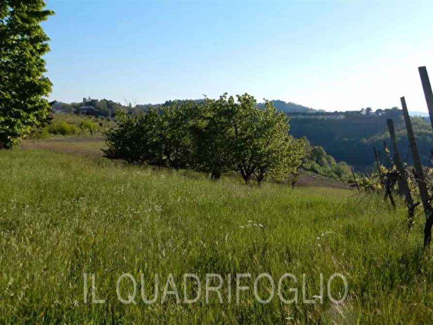 Immagine 11 di Rustico / casale in vendita  a Cesena