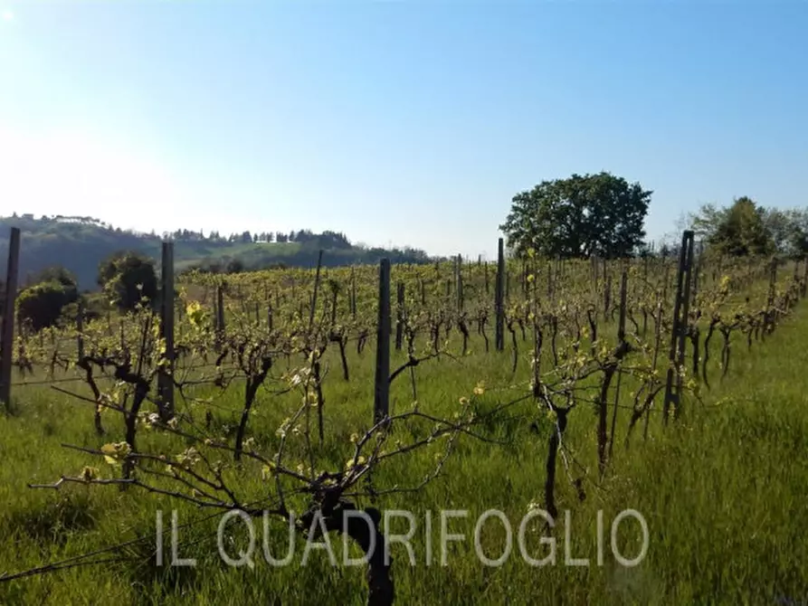 Immagine 12 di Rustico / casale in vendita  a Cesena