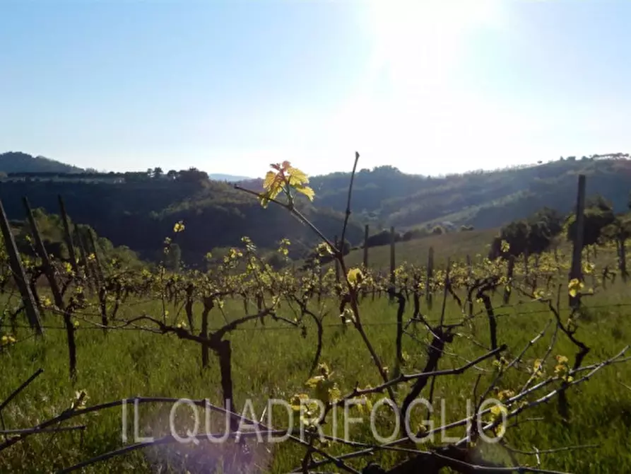 Immagine 13 di Rustico / casale in vendita  a Cesena