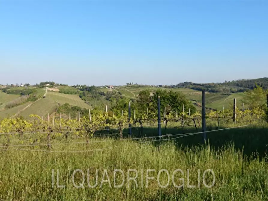 Immagine 14 di Rustico / casale in vendita  a Cesena