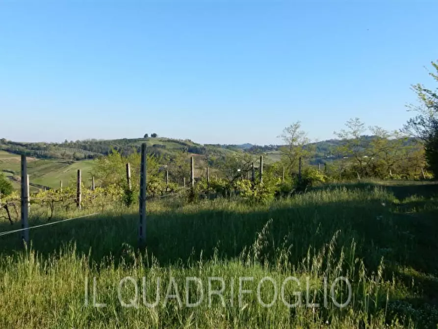 Immagine 15 di Rustico / casale in vendita  a Cesena