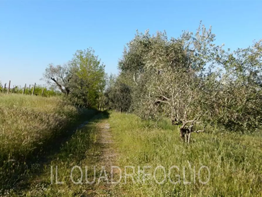 Immagine 16 di Rustico / casale in vendita  a Cesena