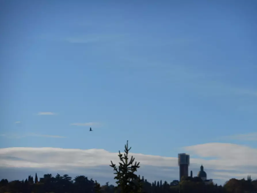 Immagine 10 di Appartamento in vendita  in contrà s. pietro a Vicenza