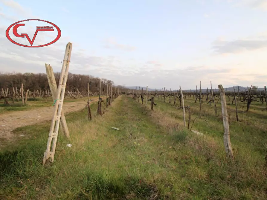 Immagine 5 di Terreno in vendita  in bucine a Bucine