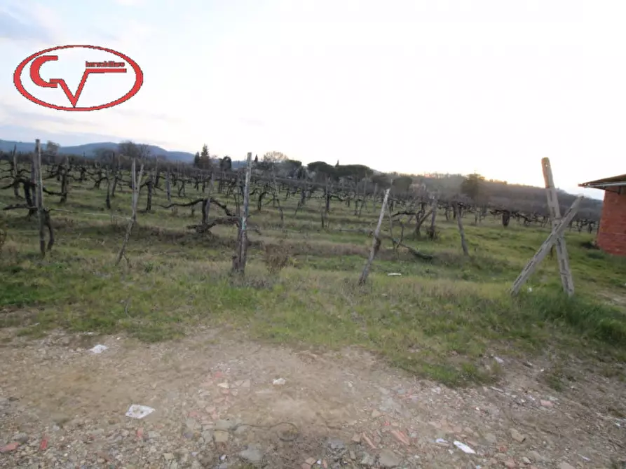 Immagine 7 di Terreno in vendita  in bucine a Bucine
