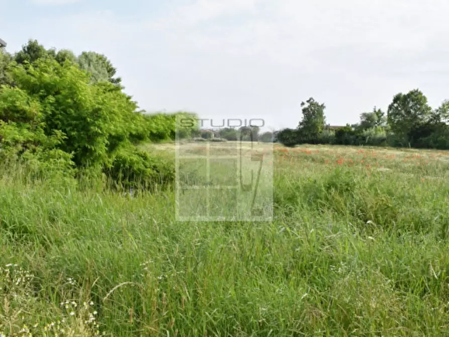 Immagine 1 di Terreno in vendita  in via Roma a Piombino Dese