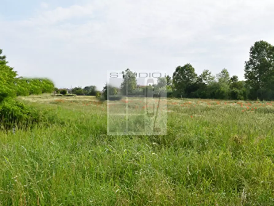 Immagine 2 di Terreno in vendita  in via Roma a Piombino Dese