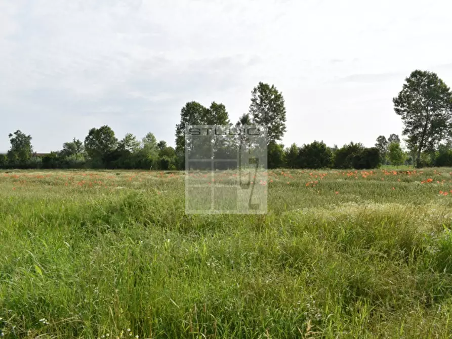 Immagine 3 di Terreno in vendita  in via Roma a Piombino Dese