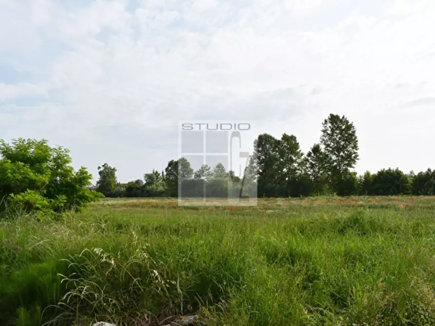 Immagine 4 di Terreno in vendita  in via Roma a Piombino Dese