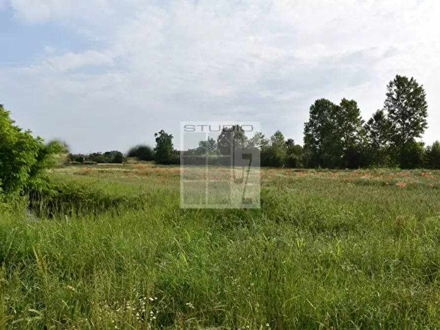 Immagine 5 di Terreno in vendita  in via Roma a Piombino Dese