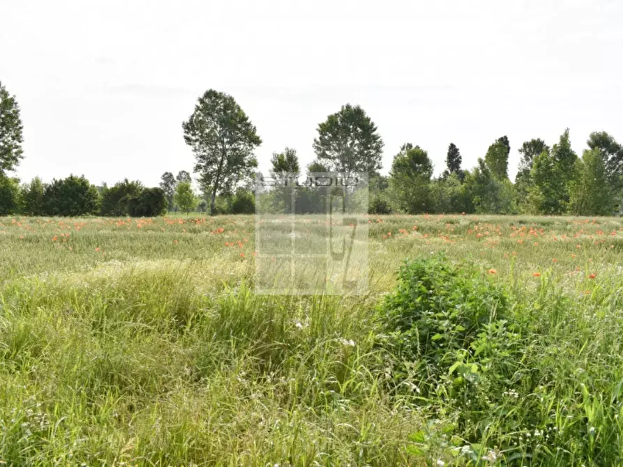 Immagine 6 di Terreno in vendita  in via Roma a Piombino Dese