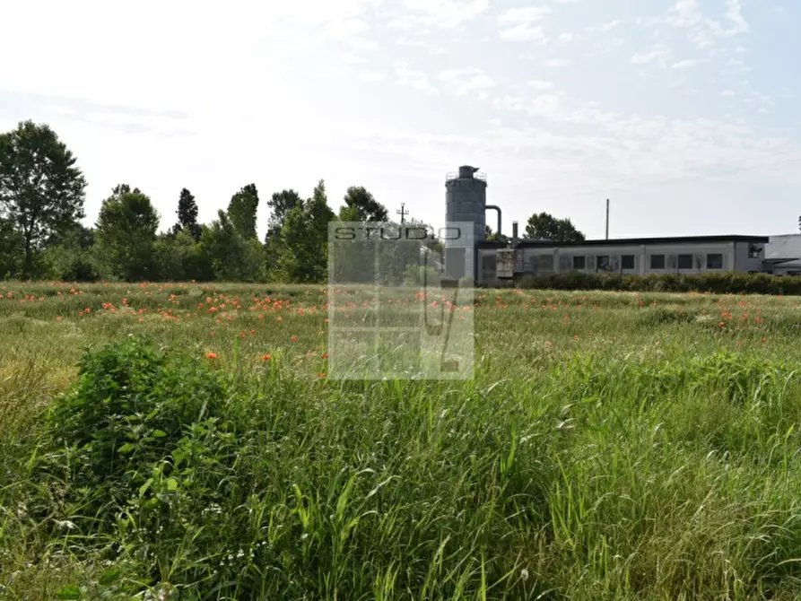 Immagine 7 di Terreno in vendita  in via Roma a Piombino Dese